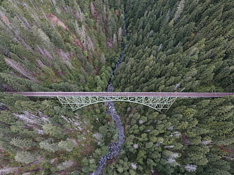 Aerial view of green railway bridge over forest river