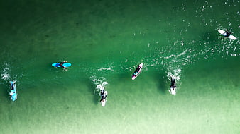Aerial view of surfers paddling in green ocean water