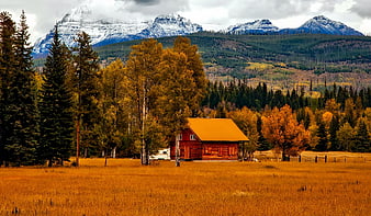 Red Cabin in Golden Autumn Field with Snowy Mountains