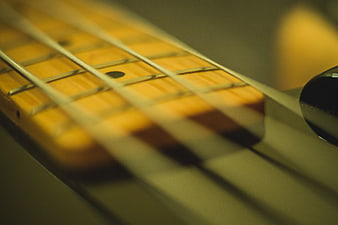 Close-up of Guitar Fretboard and Strings