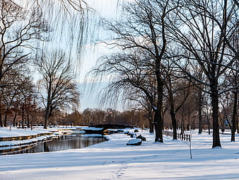Serene Winter Park with Snowy Path and Frozen Pond