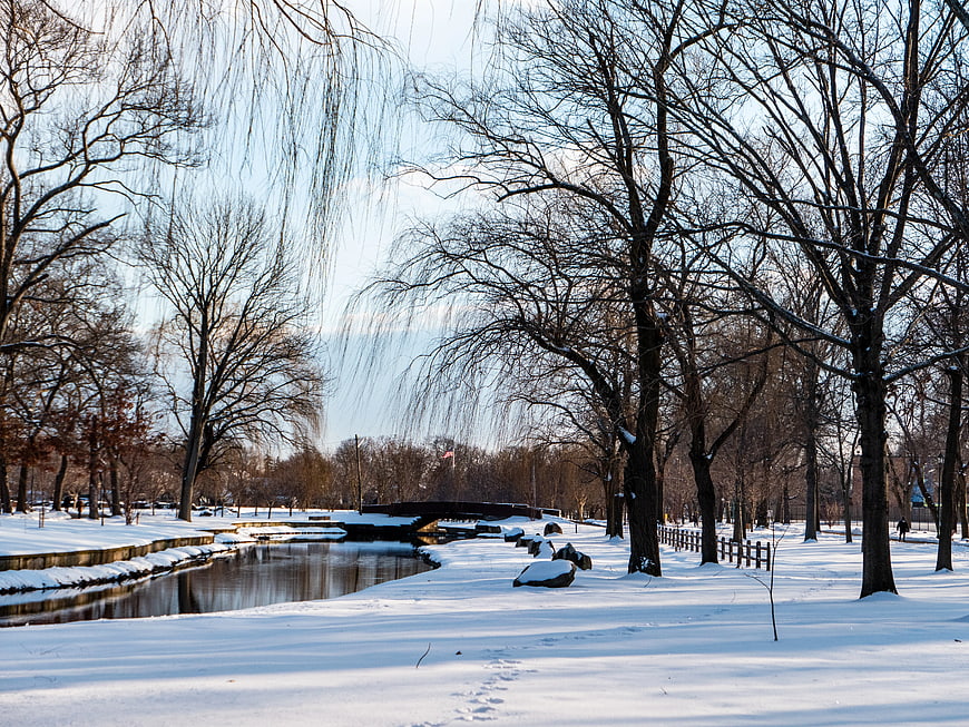 Serene Winter Park with Snowy Path and Frozen Pond