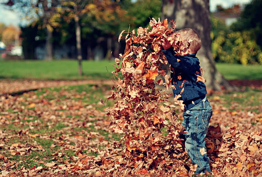 Toddler throwing autumn leaves in a sunny park