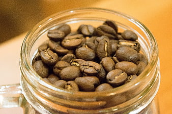 Close-up of roasted coffee beans in a glass jar