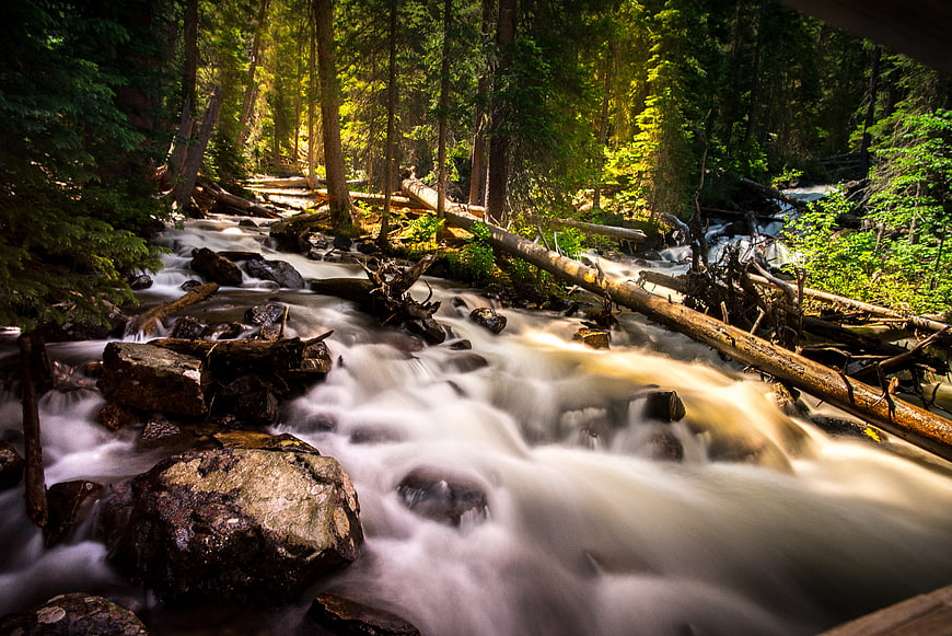 Long Exposure Forest Stream with Sunlight and Rocks