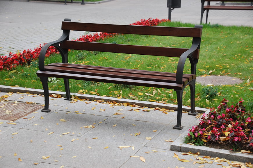 Empty Wooden Park Bench in Autumn Garden