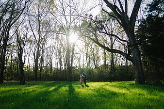 Couple standing in sunlit forest clearing with long shadows