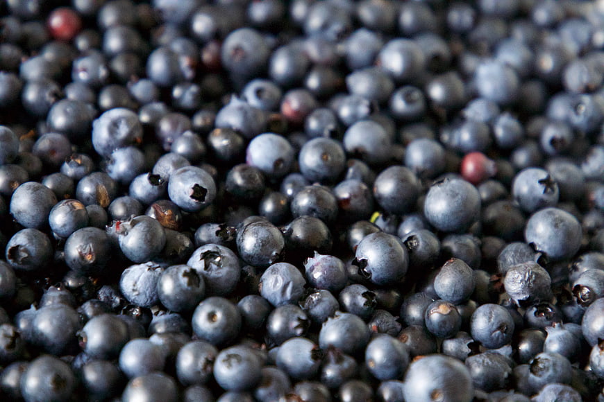 Close-up of fresh blueberries filling the frame