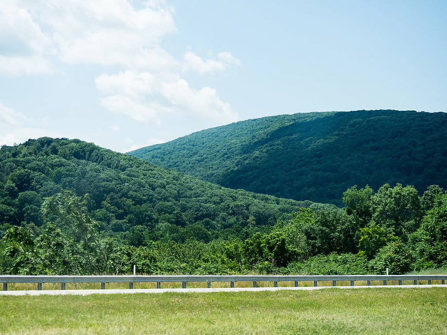 Lush Green Forested Hills and Blue Sky Landscape