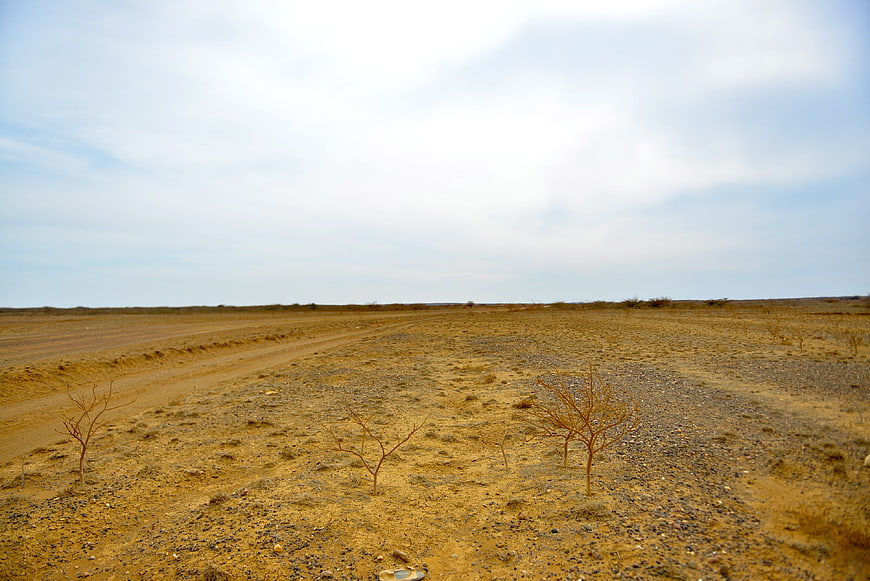 Barren desert landscape with dry shrubs and dirt road