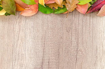 Autumn Leaves Border on Light Wooden Background