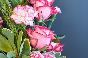 Pink Roses and Carnations Bouquet on Blue Background