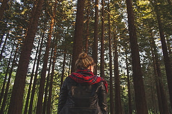 Woman in Leather Jacket Looking Up at Tall Pine Trees