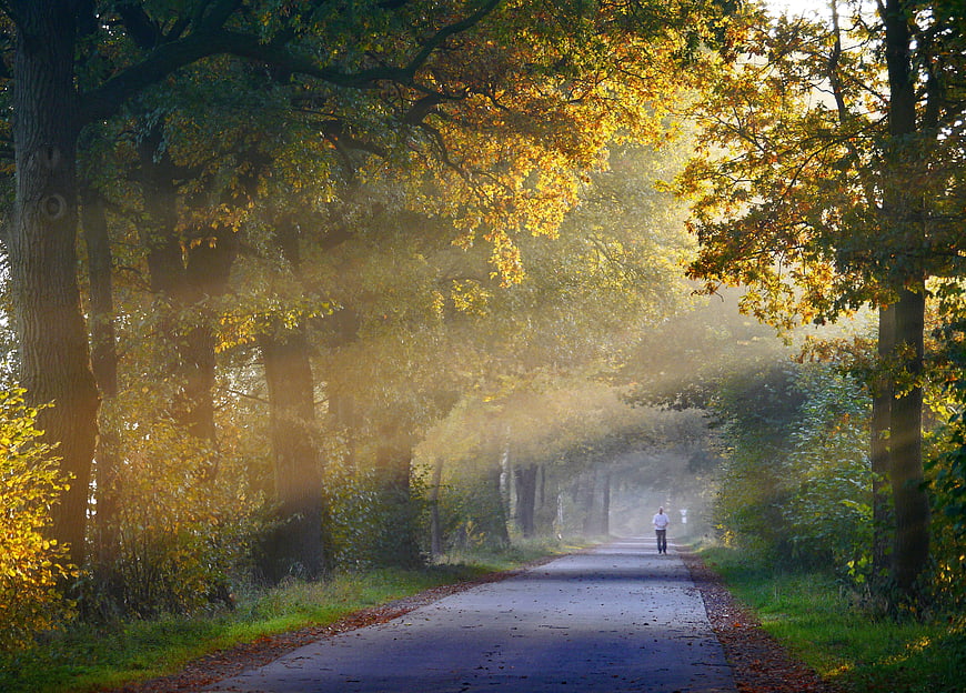 Man Walking on Misty Autumn Road with Sunbeams