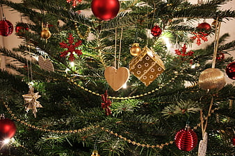 Close-up of Christmas tree with red and gold ornaments