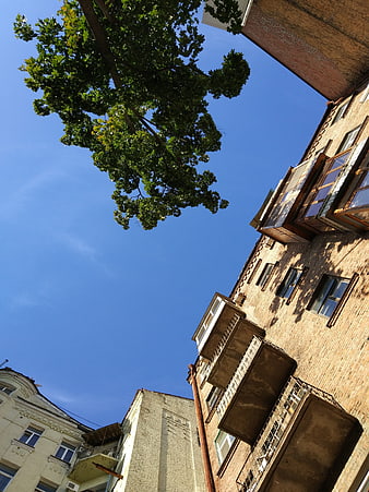 Low angle view of brick apartment buildings and tree against blue sky