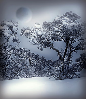 Snowy winter landscape with bare trees and moon in blue sky
