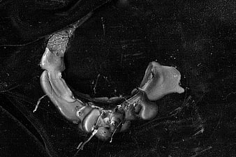 Abstract black and white melted wax sculpture on dark background