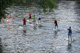 Group of People Stand Up Paddleboarding on a Calm Lake