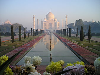 Taj Mahal Reflection in Morning Mist with Foreground Flowers