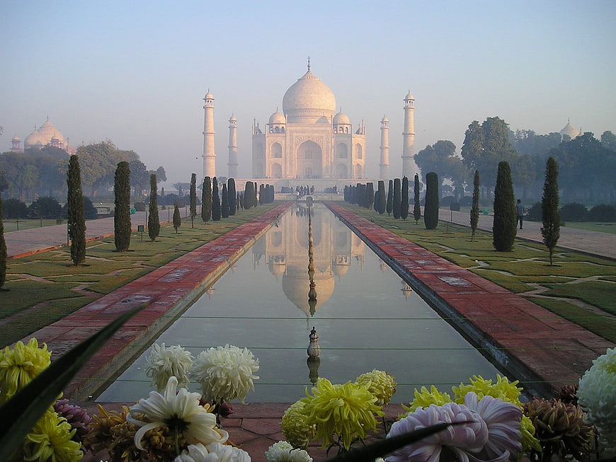 Taj Mahal Reflection in Morning Mist with Foreground Flowers