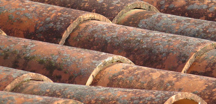 Close-up of weathered terracotta roof tiles with moss