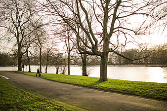 Serene Park Pathway by Lake with Bare Trees