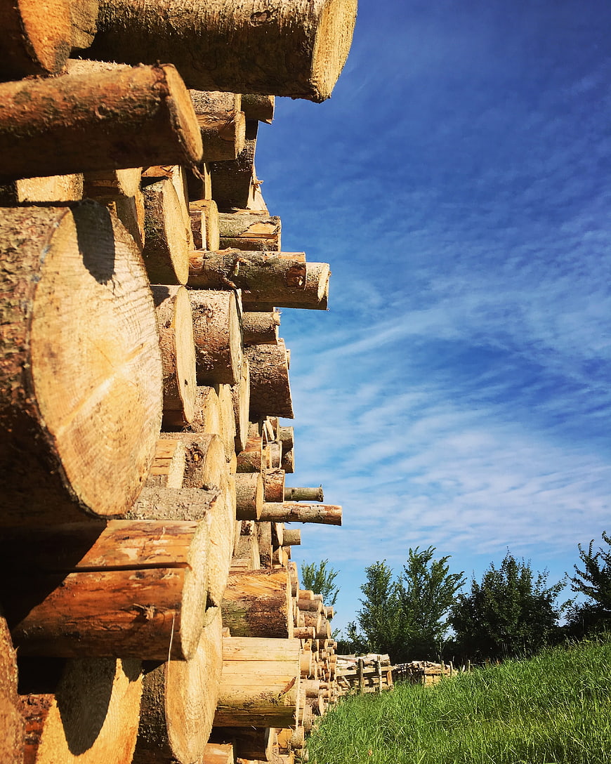Stacked Timber Logs Against Blue Sky