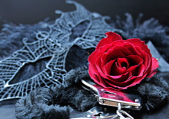 Red Rose With Black Lace Mask And Handcuffs
