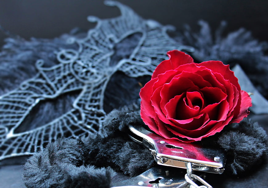 Red Rose With Black Lace Mask And Handcuffs