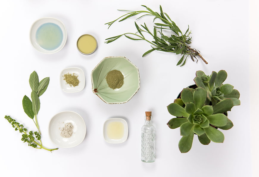 Flat lay of natural skincare ingredients, herbs, and succulents