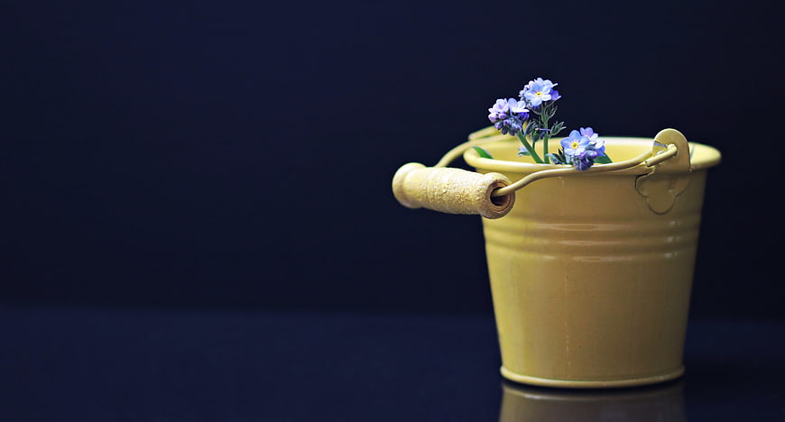 Yellow Bucket with Blue Forget-Me-Not Flowers on Dark Background