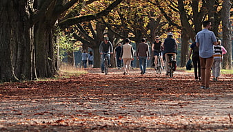 People Walking And Cycling On Autumn Park Path