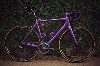 Purple Road Bicycle Against Green Ivy Wall