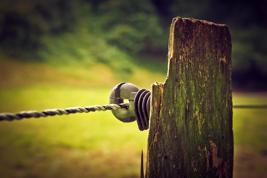 Weathered wooden fence post with wire in a green meadow