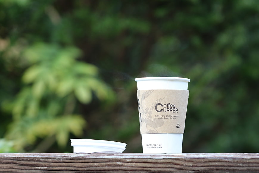 Steaming Paper Coffee Cup on Wooden Railing with Green Background