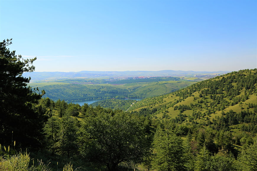 Panoramic View of Green Rolling Hills and Forested Valley