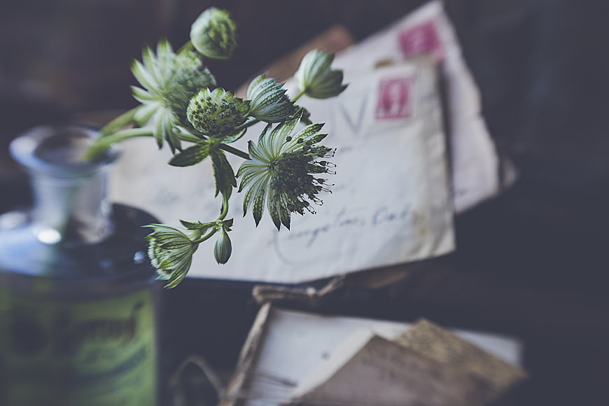 Vintage green flowers in bottle with old letters