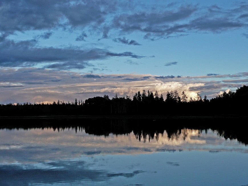 Serene Lake Reflection at Dusk with Silhouetted Forest