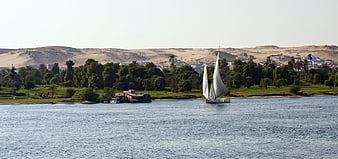 Traditional Felucca Sailboat Sailing on the River Nile in Egypt