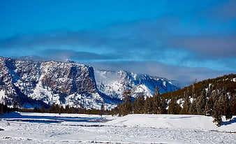 Snowy Mountain Landscape with Pine Forest and Blue Sky