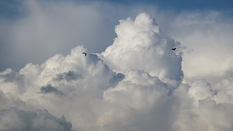 Dramatic Cumulus Clouds With Two Birds Flying In Blue Sky