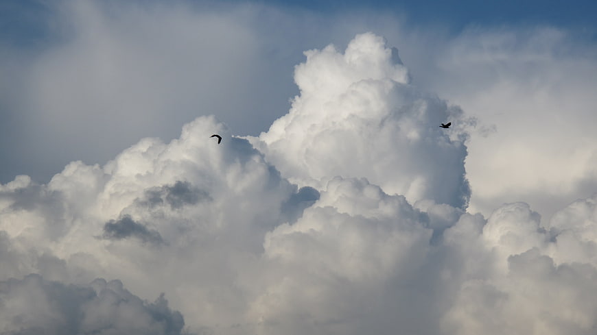 Dramatic Cumulus Clouds With Two Birds Flying In Blue Sky