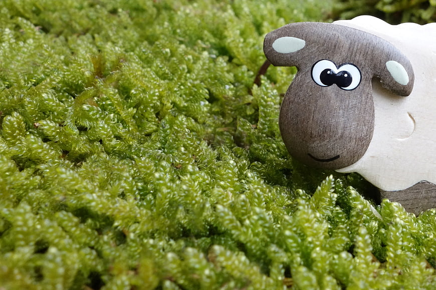 Cute wooden toy sheep on green moss background