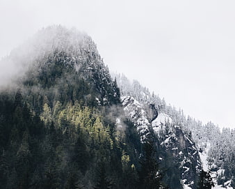Snowy Mountain Peak with Misty Forest and Fog