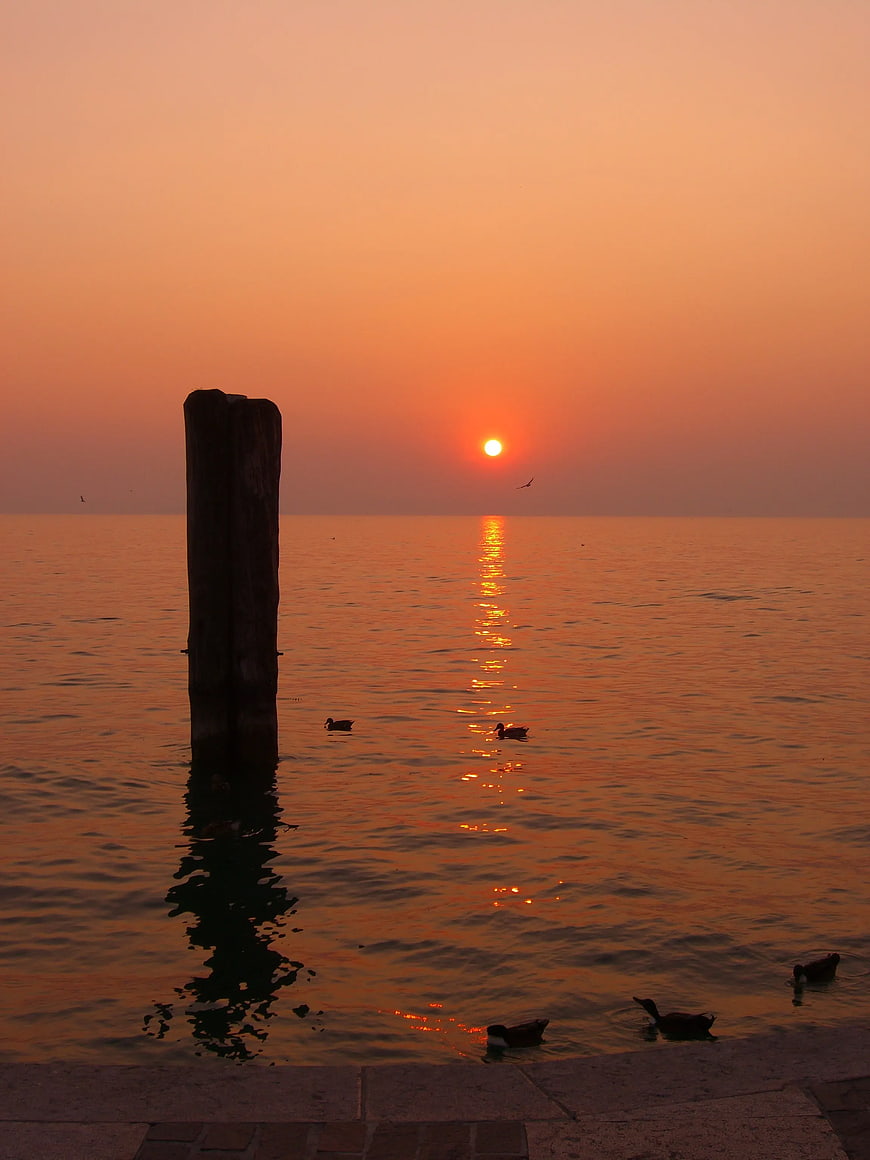 Serene Sunset Over Calm Water with Ducks and Wooden Post