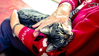 Senior woman cuddling sleeping tabby cat in red sweater