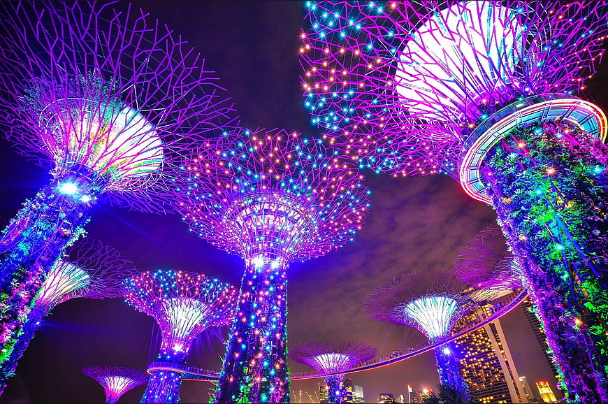 Gardens by the Bay Supertrees illuminated at night in Singapore