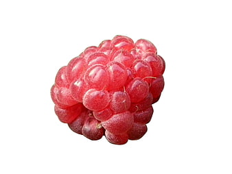 Single Fresh Red Raspberry Isolated On White Background