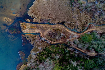 Aerial view of winding river through marshland and forest